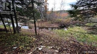 Route 17 Property Photo 32