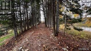 Route 17 Property Photo 35