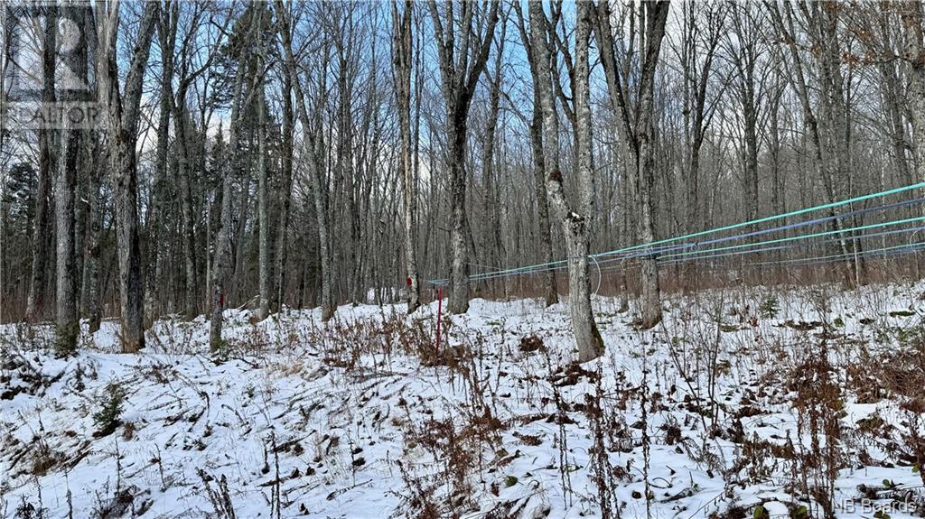 Na Woods Road Property Photo 23
