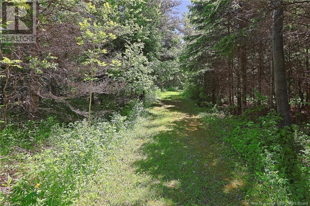 125 South Knowlwsville Road Property Photo 42