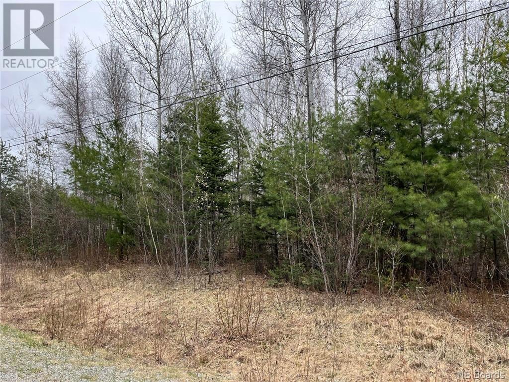 1.1 Acres Hambrook Pt. Road Property Photo 2