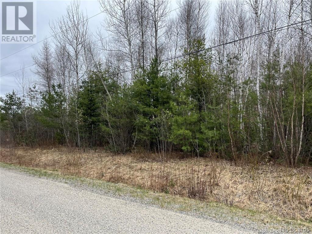 1.1 Acres Hambrook Pt. Road Property Photo 3