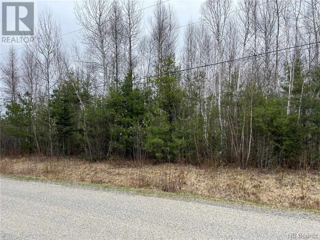 1.1 Acres Hambrook Pt. Road Property Photo 4