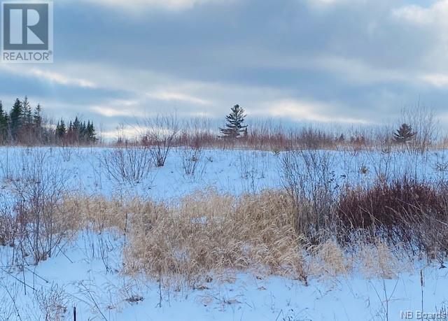 Lot Alison Boulevard Property Photo 2