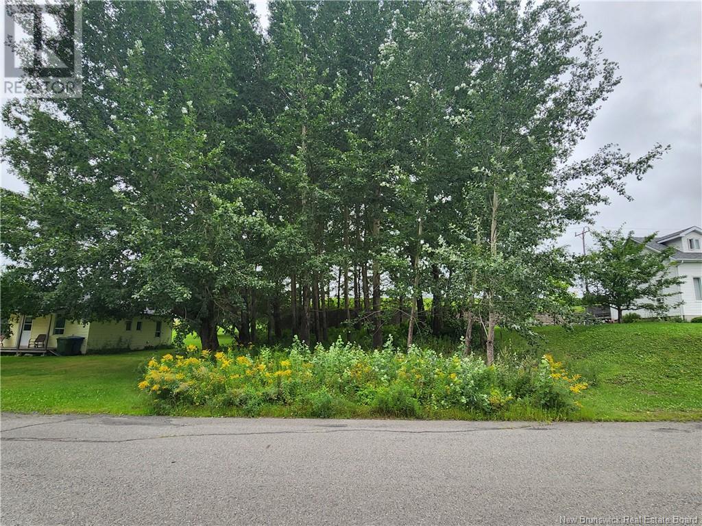 164 Corno Street Property Photo 2