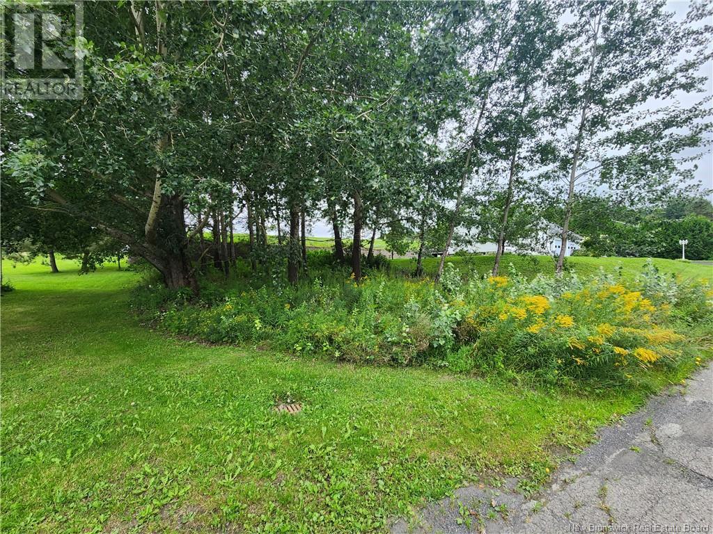 164 Corno Street Property Photo 3