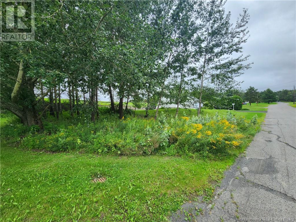 164 Corno Street Property Photo 4