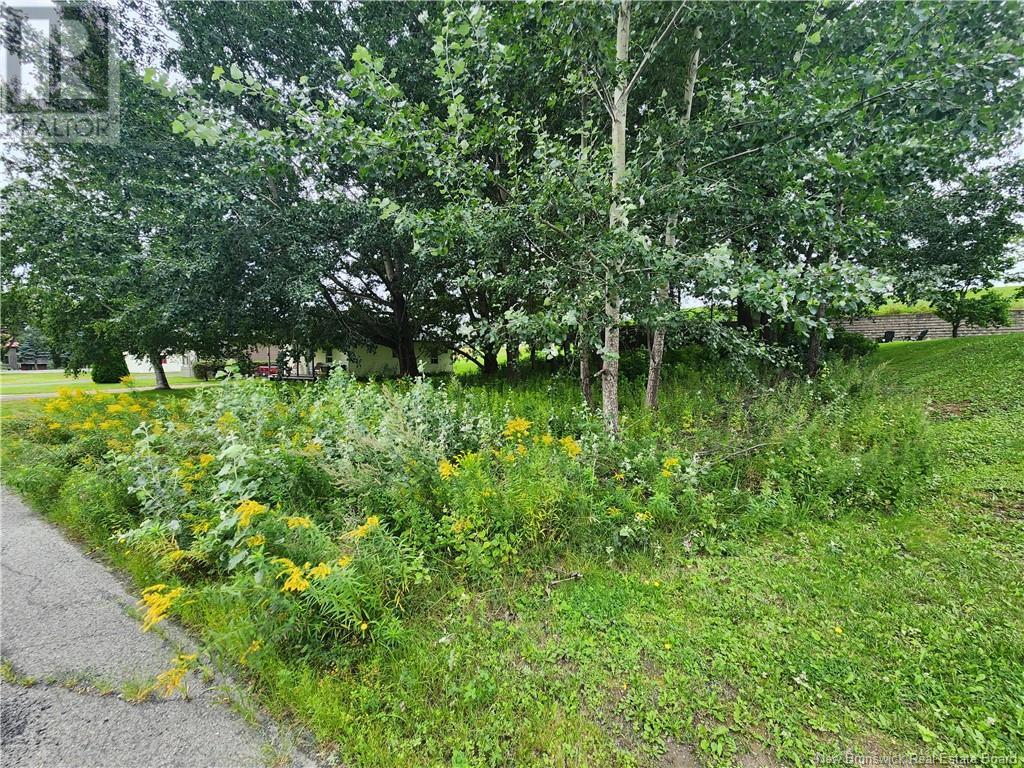164 Corno Street Property Photo 5