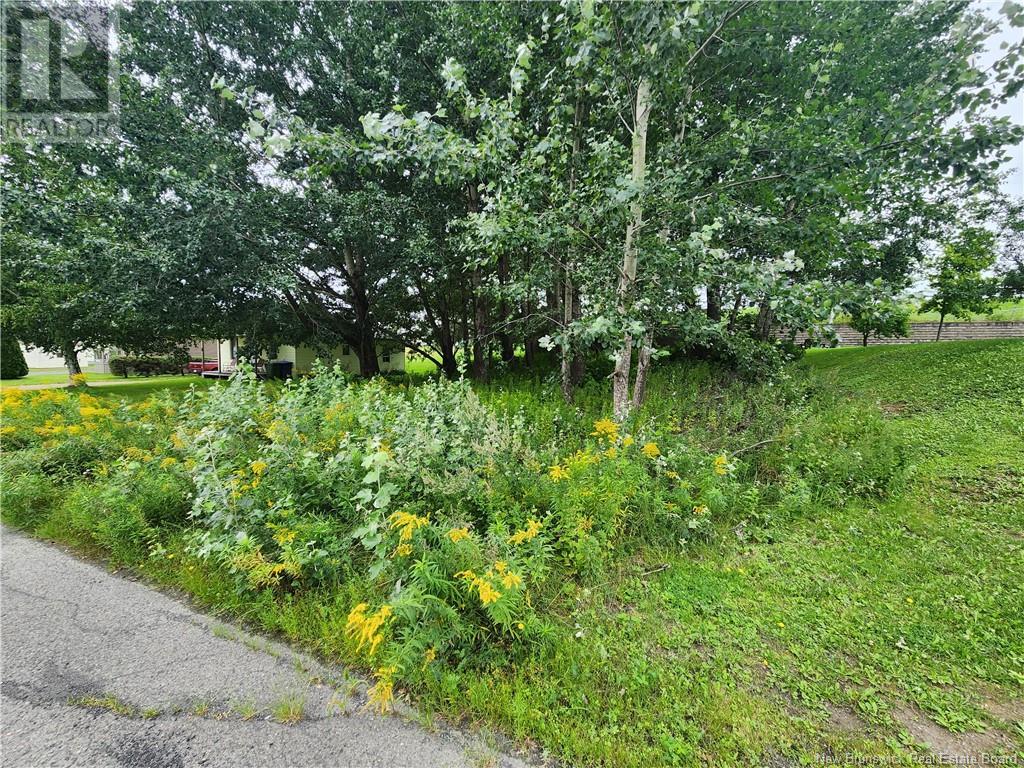 164 Corno Street Property Photo 6