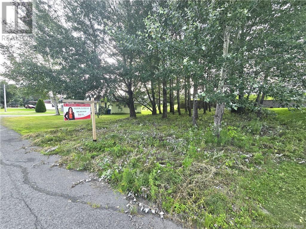 164 Corno Street Property Photo 11