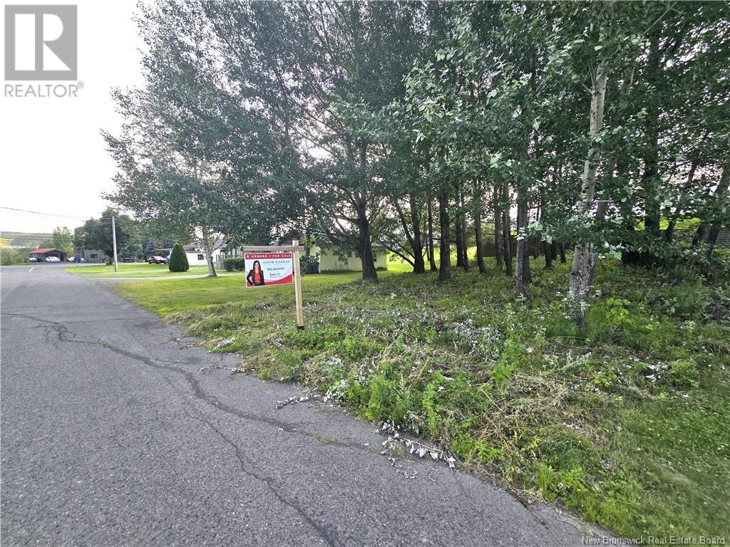 164 Corno Street Property Photo 12