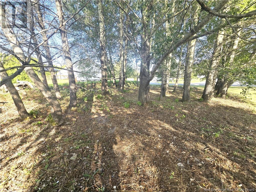 164 Corno Street Property Photo 15