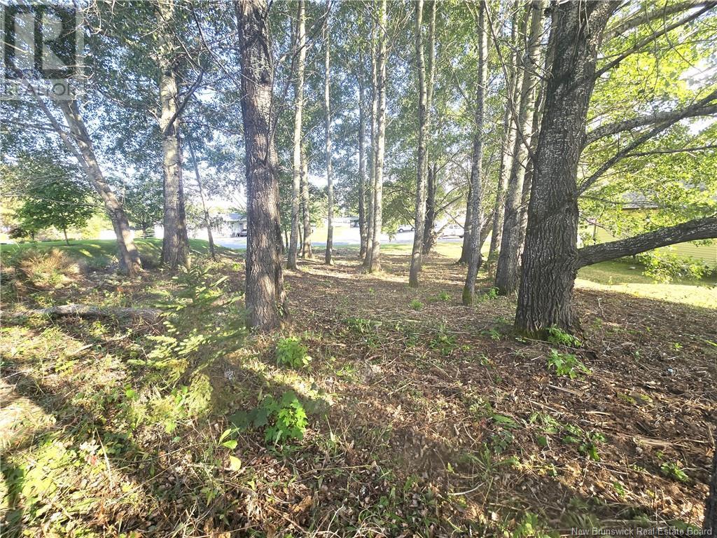 164 Corno Street Property Photo 16