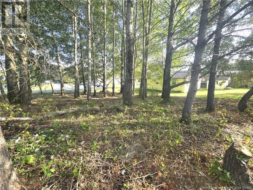 164 Corno Street Property Photo 17