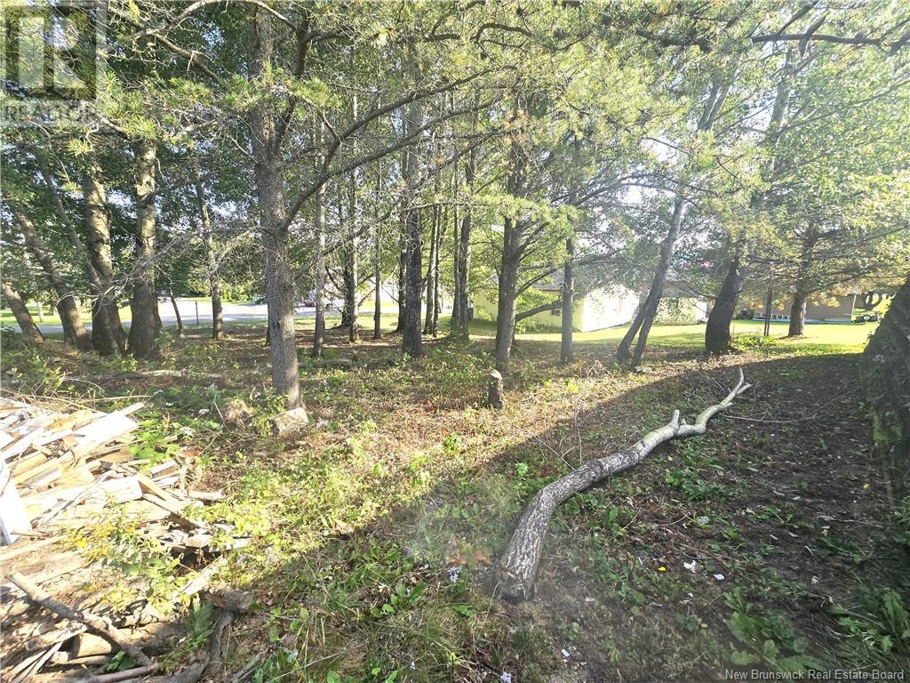 164 Corno Street Property Photo 18