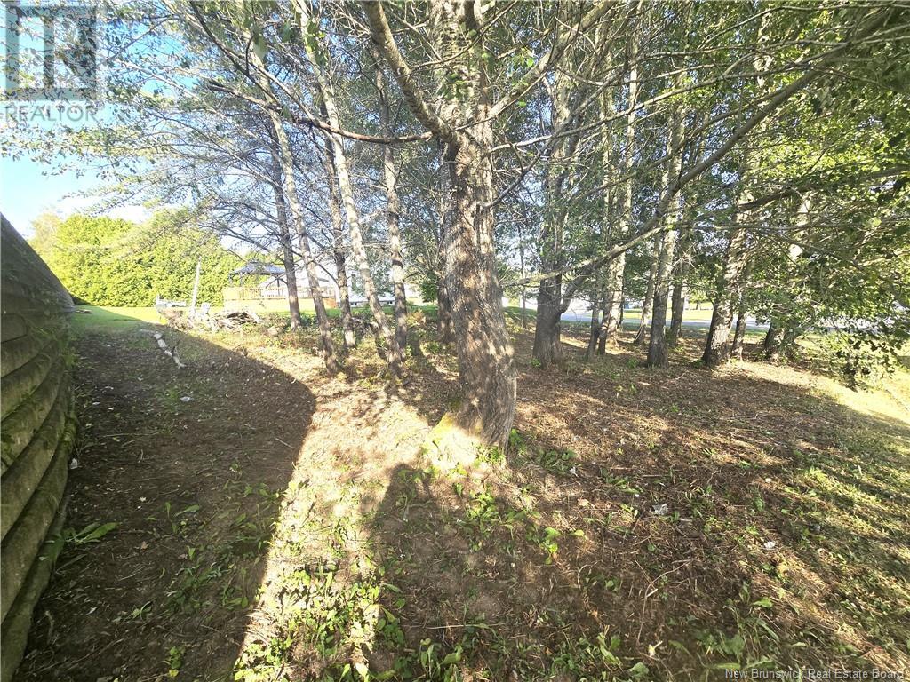 164 Corno Street Property Photo 19