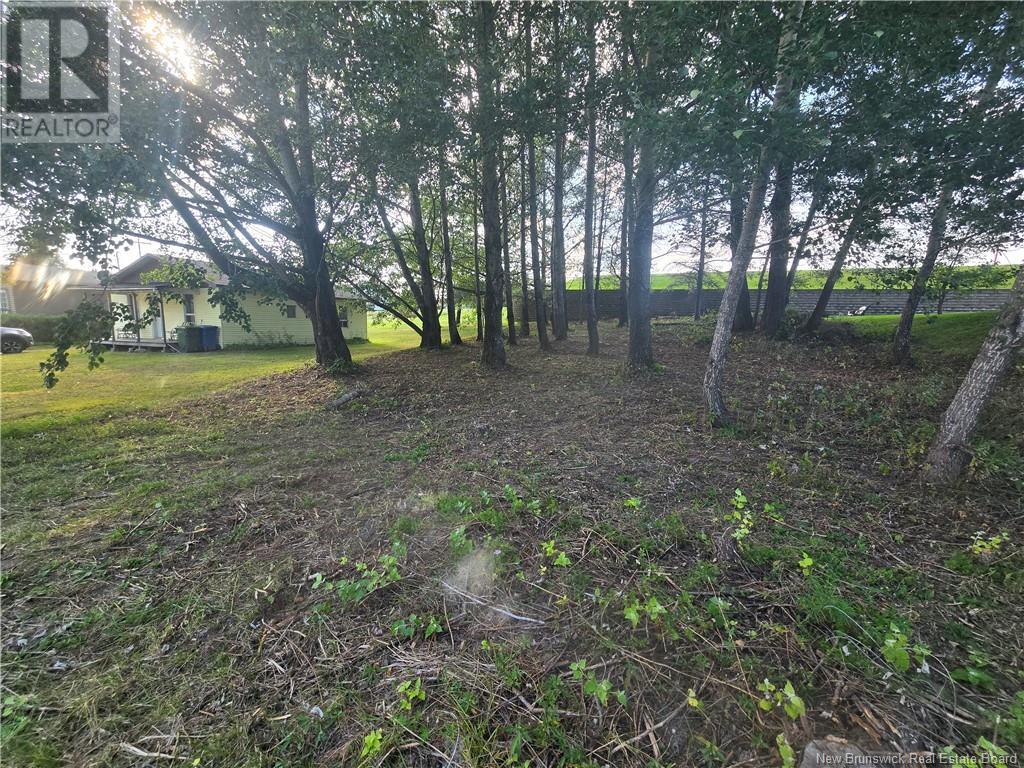 164 Corno Street Property Photo 21