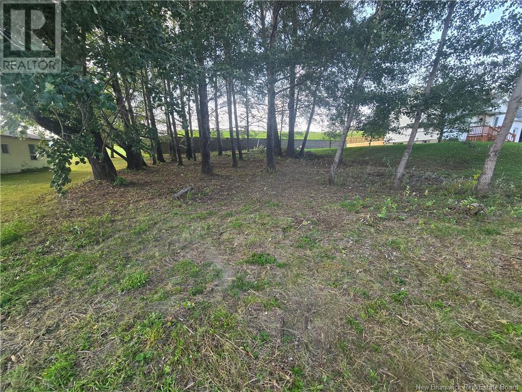 164 Corno Street Property Photo 22