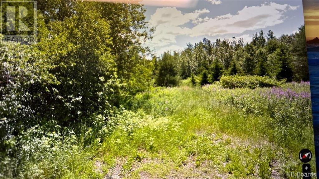 52 Rue Temis Property Photo 1