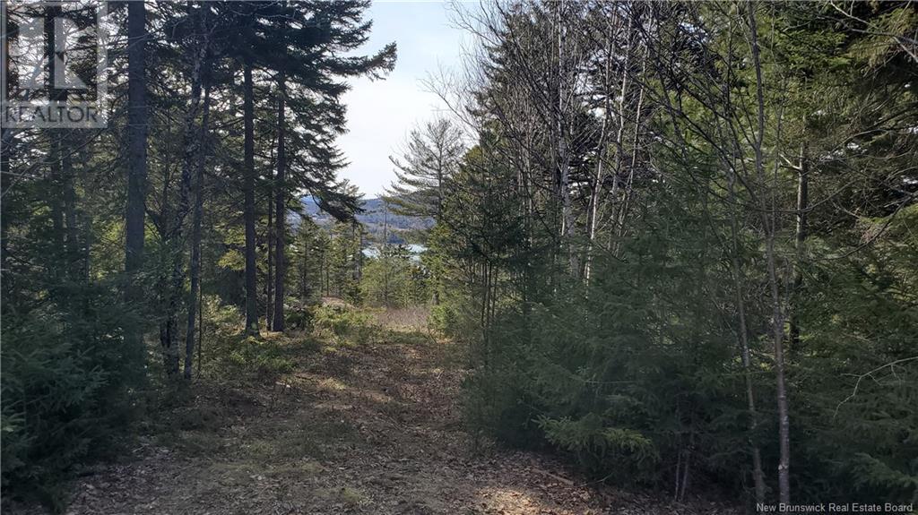 Lot 13 Eagles Passage Property Photo 3