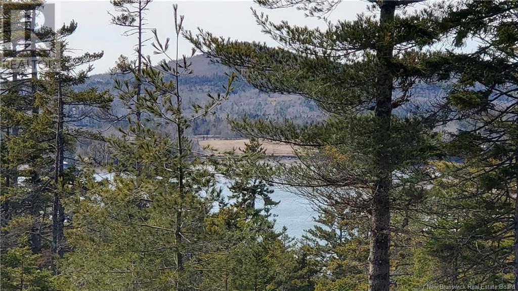Lot 13 Eagles Passage Property Photo 4