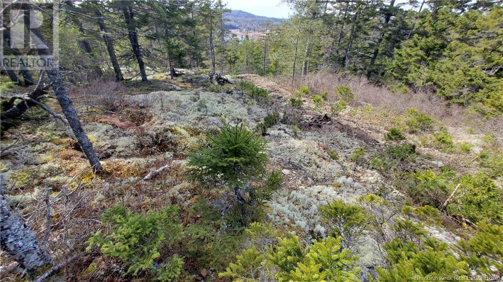 Lot 13 Eagles Passage Property Photo 6