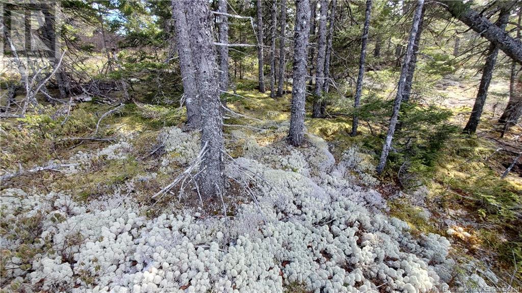 Lot 13 Eagles Passage Property Photo 7