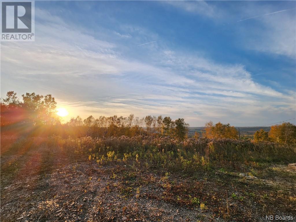 304 Foley Brook Property Photo 6