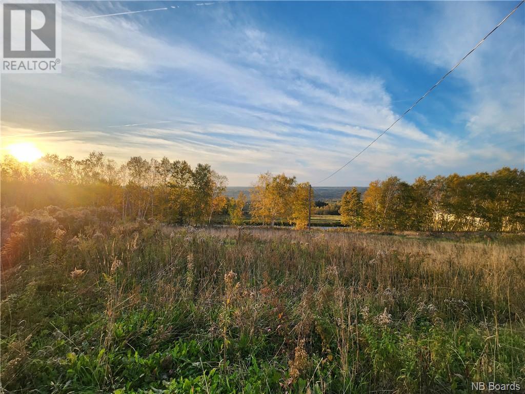 304 Foley Brook Property Photo 7