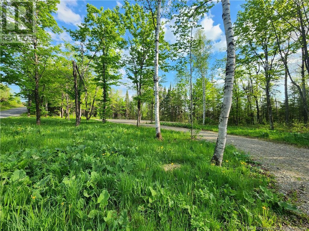 Undine Road Property Photo 1