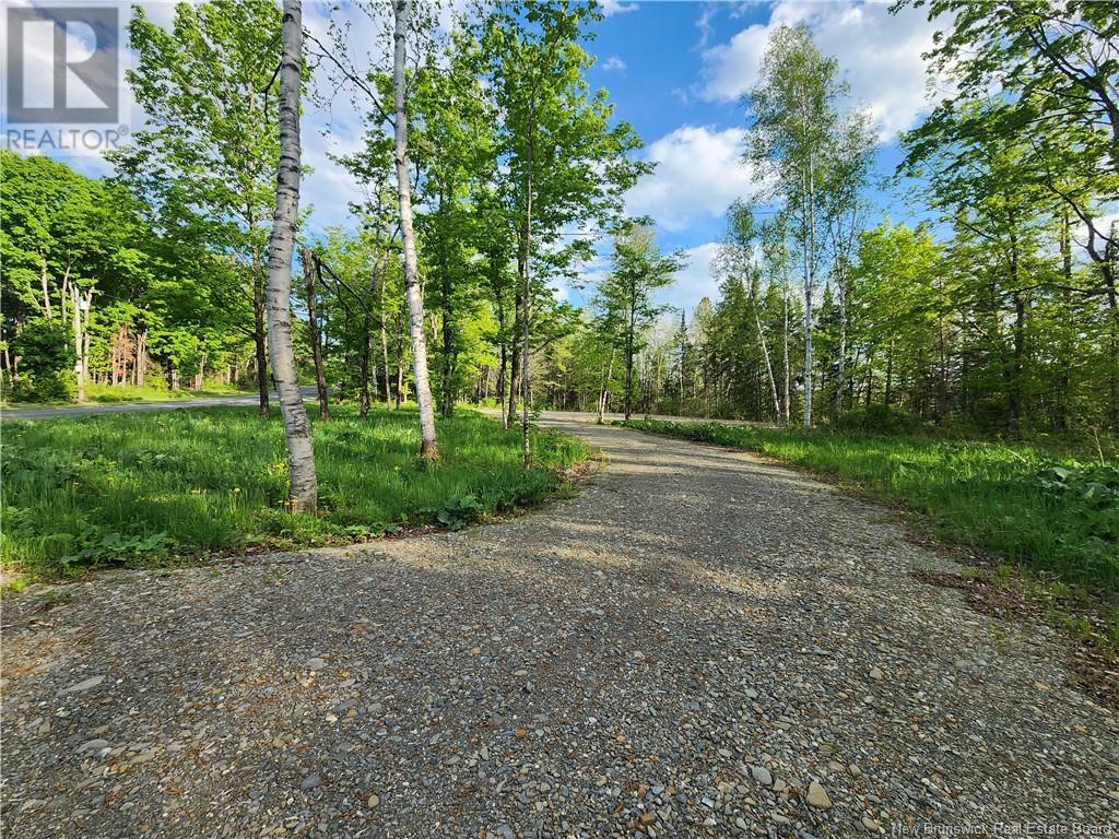 Undine Road Property Photo 2