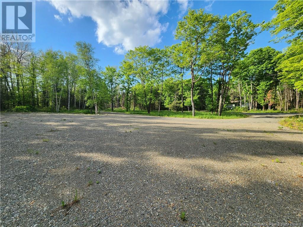 Undine Road Property Photo 4