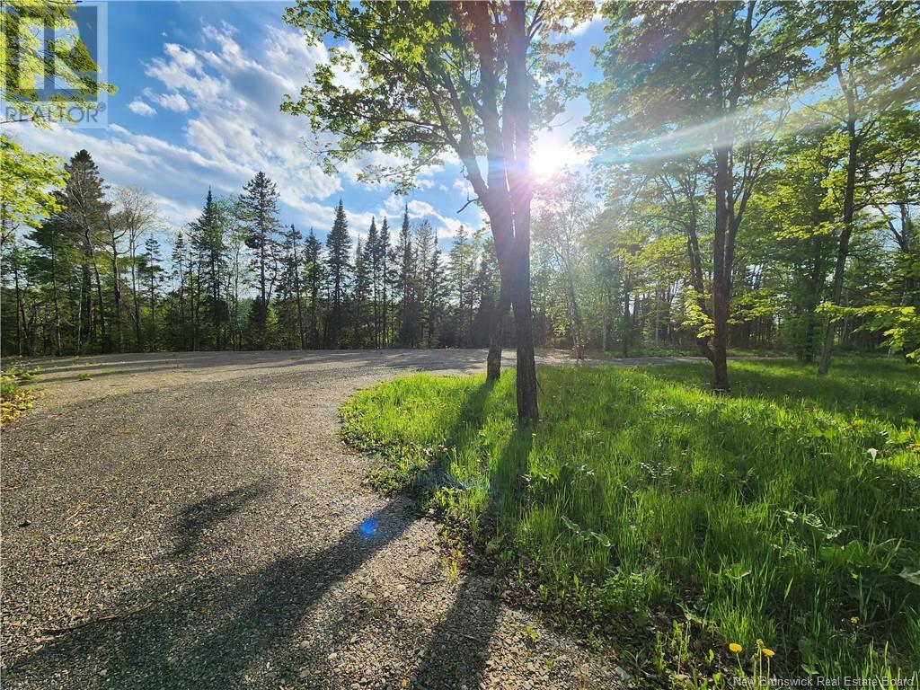 Undine Road Property Photo 5