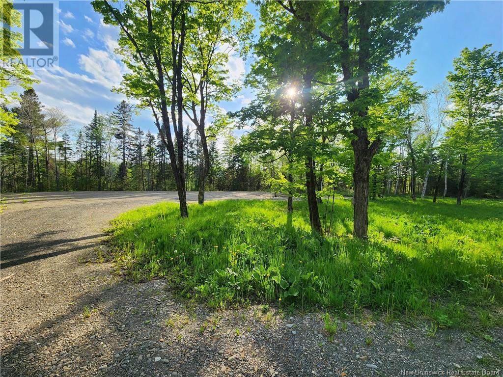 Undine Road Property Photo 7