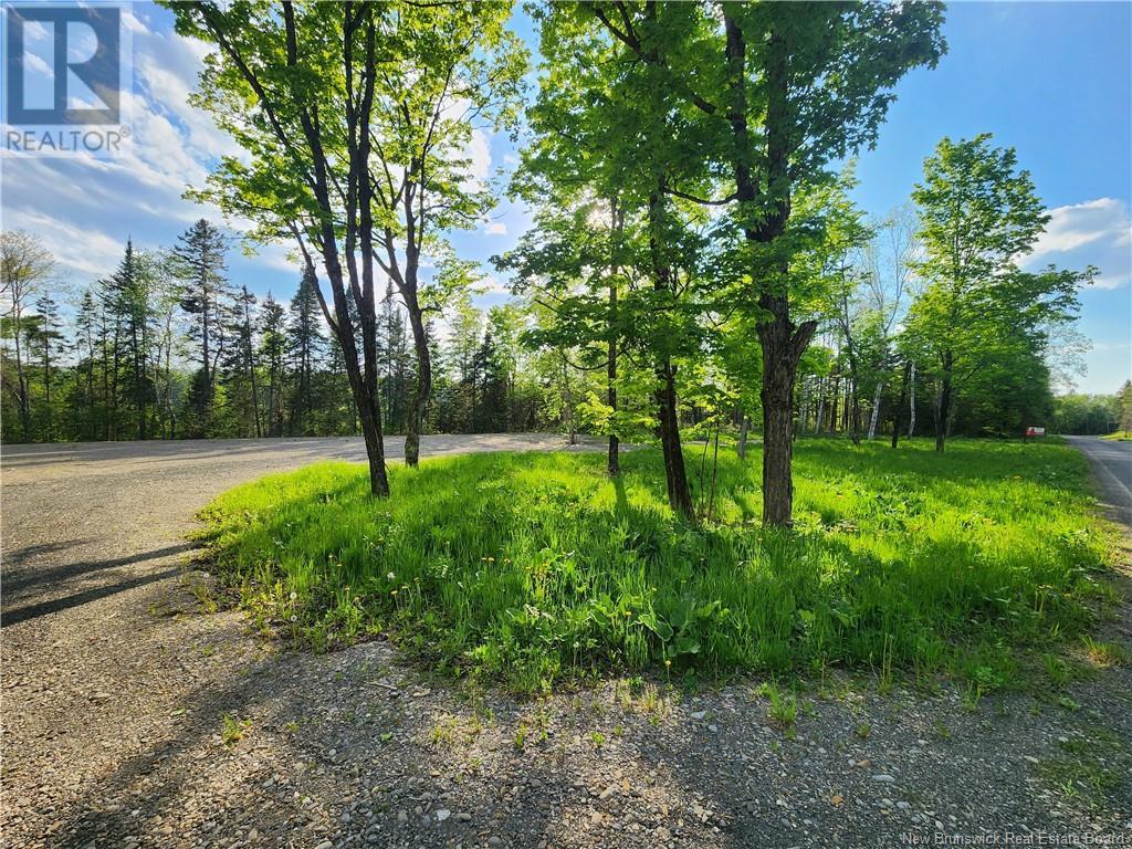 Undine Road Property Photo 8