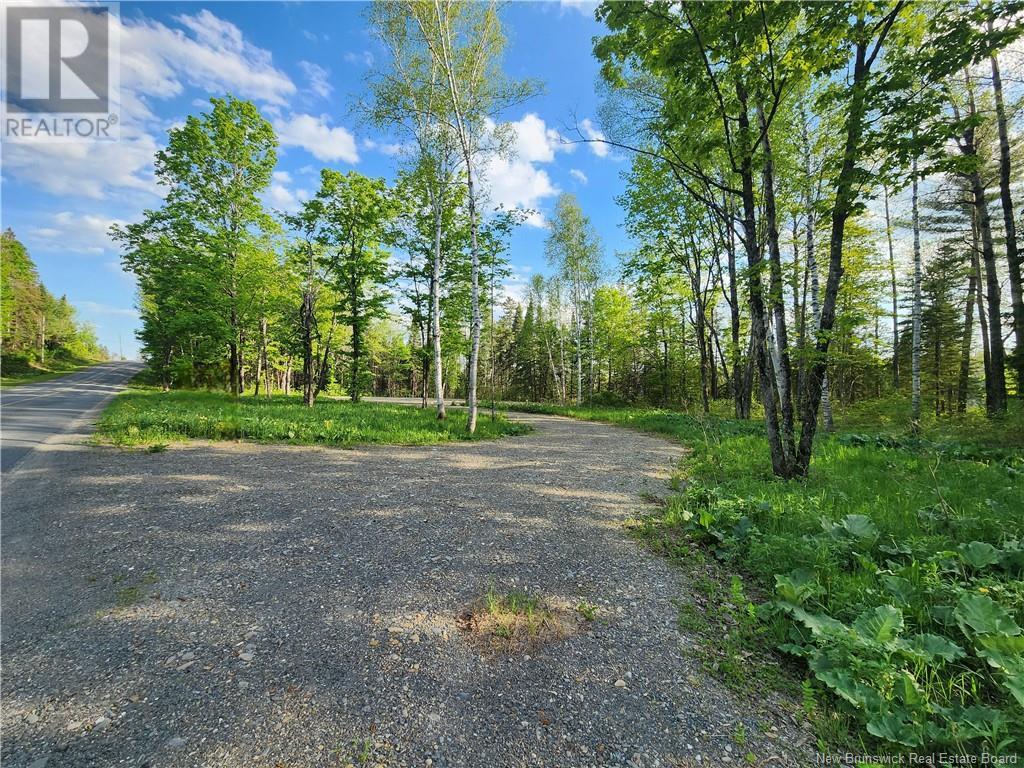 Undine Road Property Photo 9