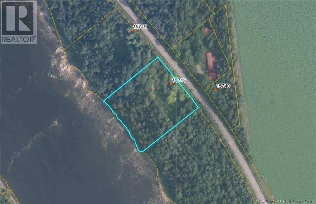 Undine Road Property Photo 11
