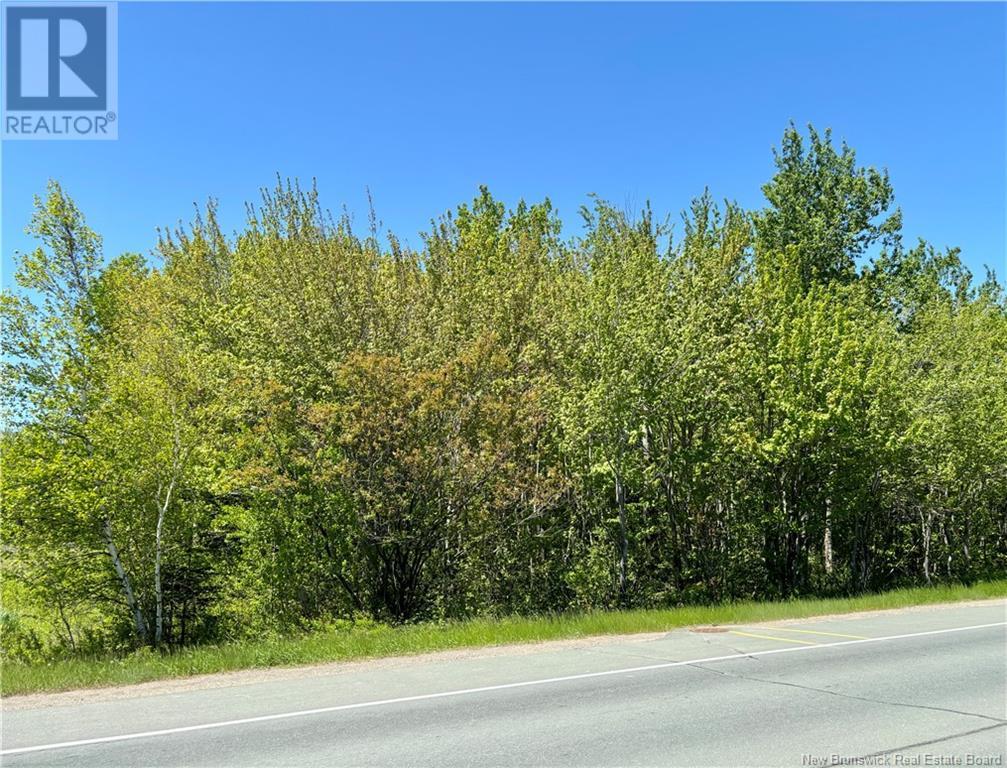 4000 Sqm Rue Principale Property Photo 2