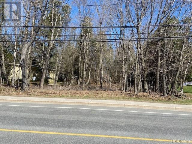 4 Grove Avenue Property Photo 3