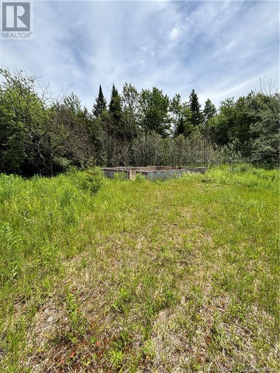 10 Bear Trap Point Road Property Photo 2