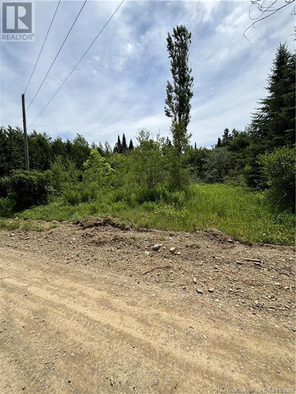 10 Bear Trap Point Road Property Photo 3