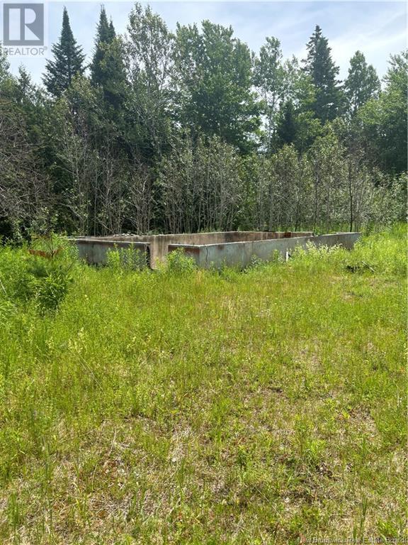 10 Bear Trap Point Road Property Photo 4