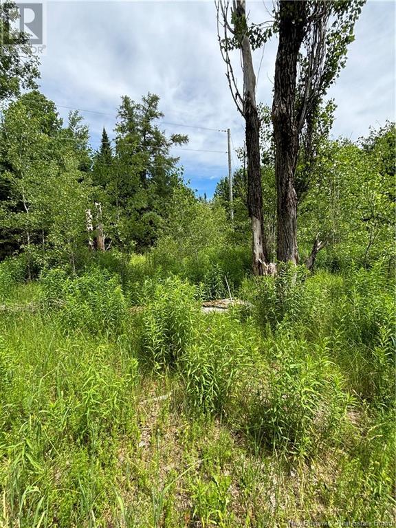 10 Bear Trap Point Road Property Photo 5