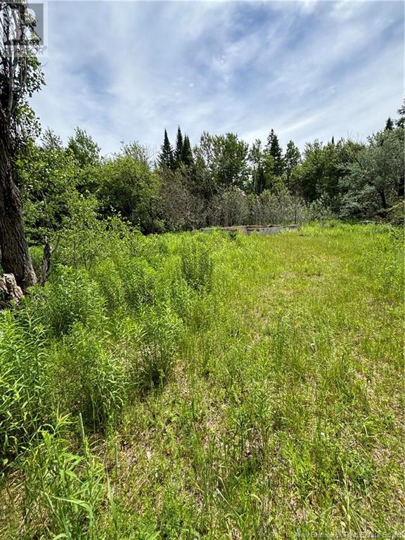 10 Bear Trap Point Road Property Photo 6
