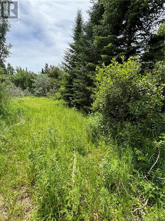 10 Bear Trap Point Road Property Photo 7