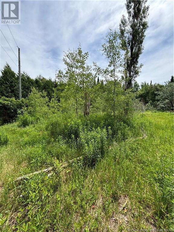 10 Bear Trap Point Road Property Photo 8