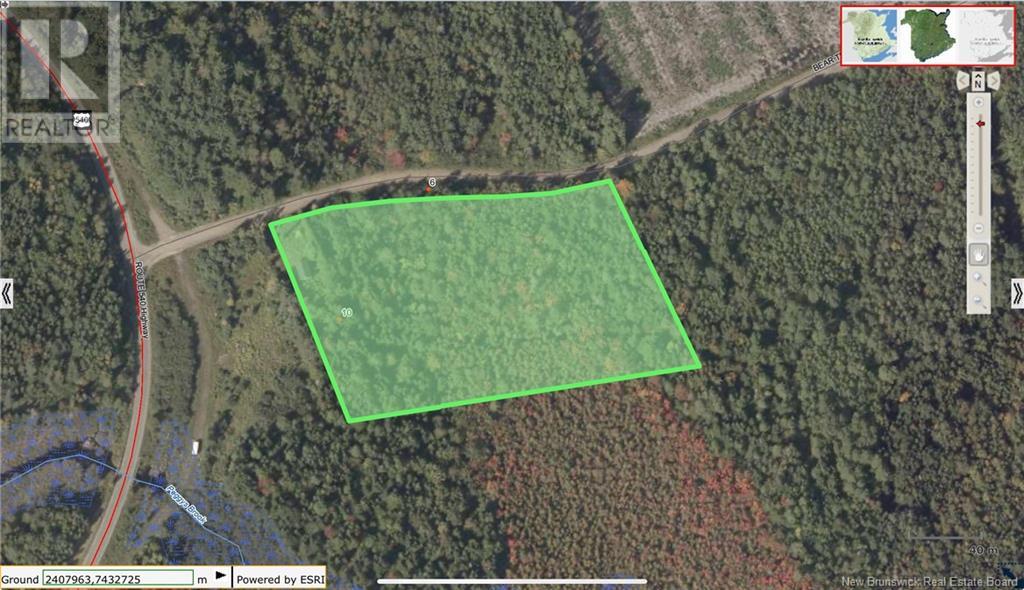 10 Bear Trap Point Road Property Photo 9