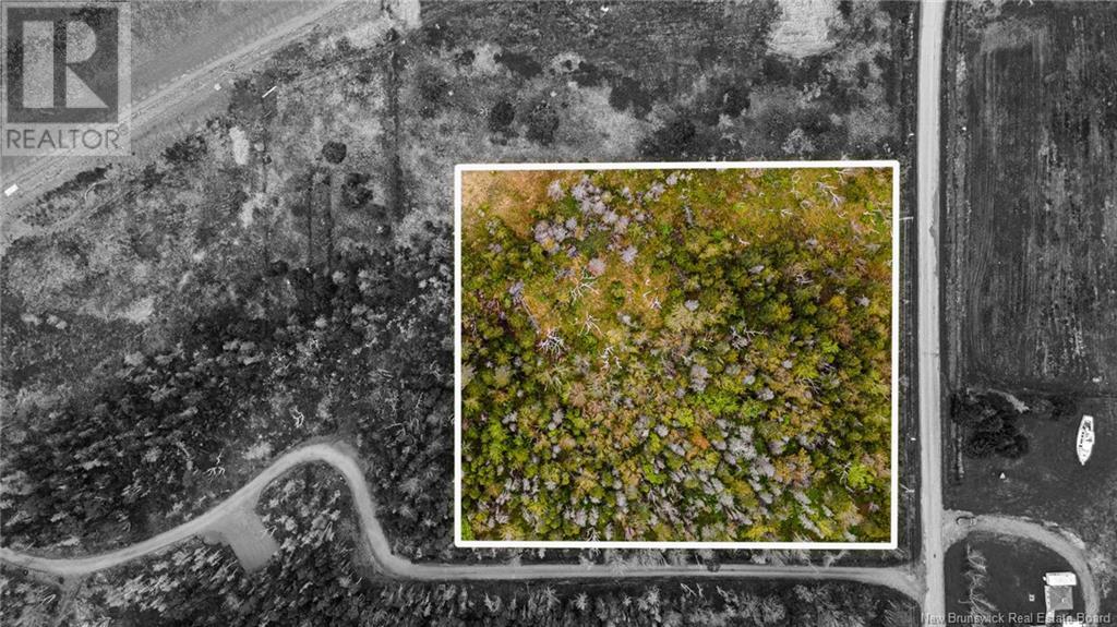 1.08 Hec Ch de la Tourbiere Property Photo 1