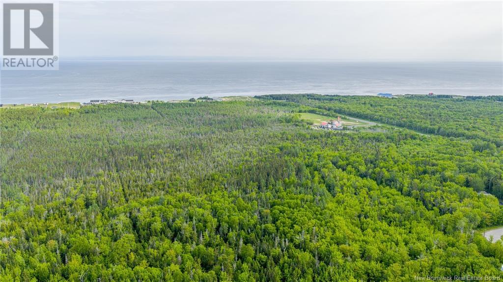 8.9hec-2 Ave Foret Property Photo 3