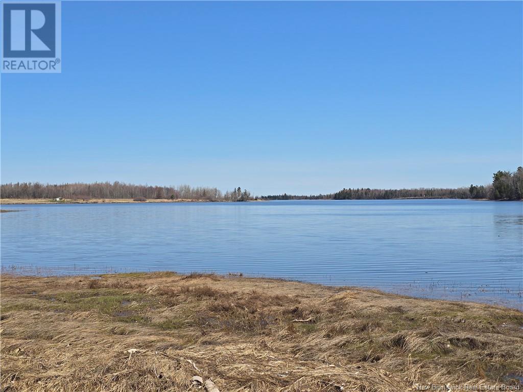 9 Acres North Black River Road Property Photo 2